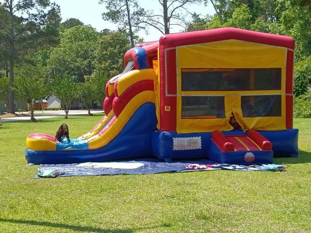 Blue and white dolphin-themed water slide set up in a yard